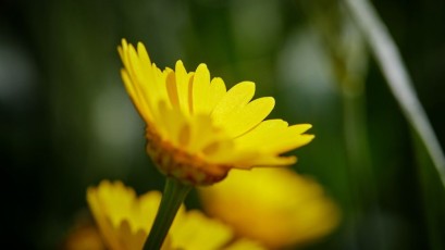 #longreefitweek #playitasresort