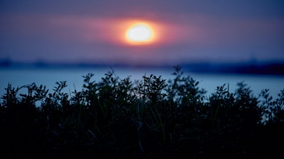 62#_Camp_Auswahl - 17 von 76