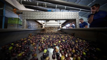 62#_Camp_Auswahl - 49 von 76