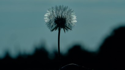 62#_Camp_Auswahl - 70 von 76