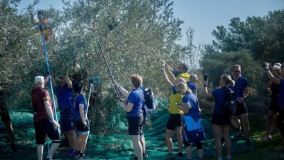 62#_Camp_Auswahl - 74 von 76