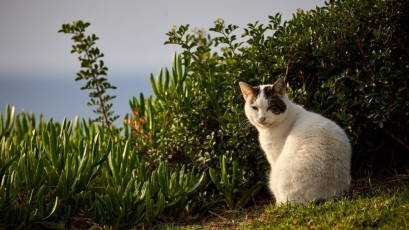 Experts in speed Cyprus - Autumn 2021 - Camp 66