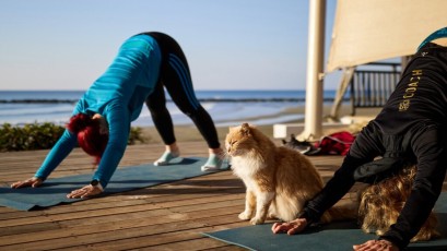 Experts in speed Cyprus - Spring 2022 - Camp 67