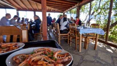 Experts in speed Cyprus - Spring 2022 - Camp 67