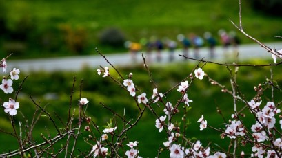 Experts in speed Cyprus - Spring 2022 - Camp 67