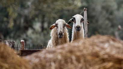 Experts in speed Cyprus - Spring 2022 - Camp 67