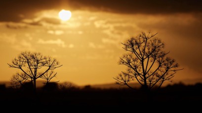 Experts in speed Cyprus - Spring 2022 - Camp 67