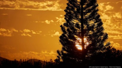 Experts in speed Cyprus - Spring 2022 - Camp 67