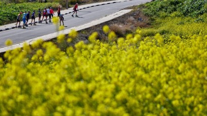 Experts in speed Cyprus - Spring 2022 - Camp 67